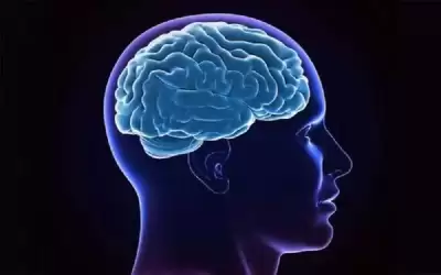 أمل جديد لعلاج الزهايمر .. والهدف