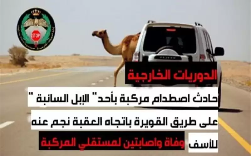 وفاة واصابتان اثر تصادم مركبة بجمل