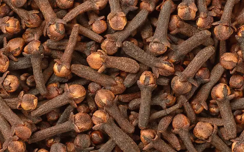 بعيدا عن الأدوية.. القرنفل علاج سحري