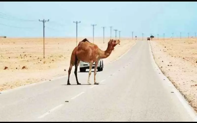 العقبة.. وفاة مواطن وإصابة اثنين نتيجة