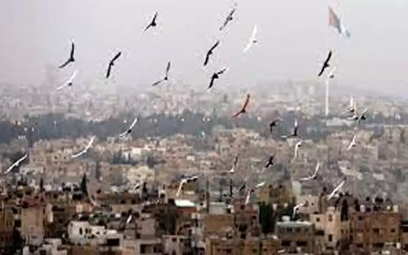 الإثنين .. أجواء لطيفة نهارا وباردة