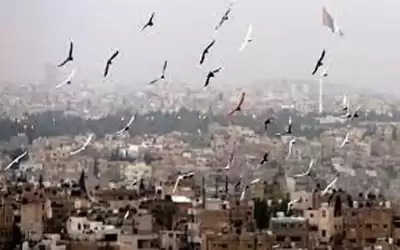 الإثنين .. أجواء لطيفة نهارا وباردة