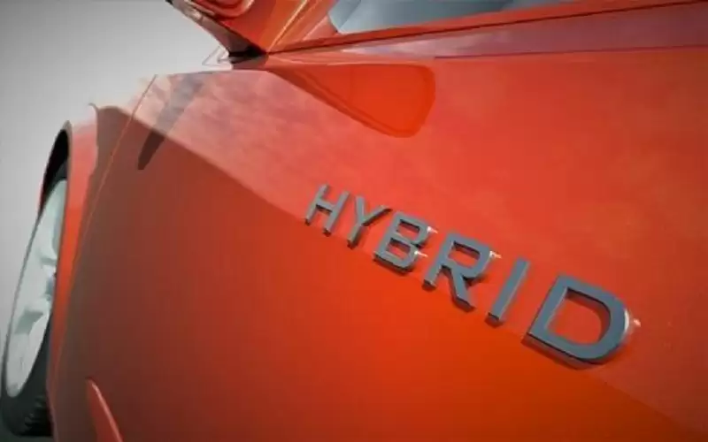 خبير اقتصادي: الحكومة ستخسر برفع ضريبة