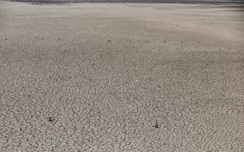 الجفاف يضرب نصف سكان العراق