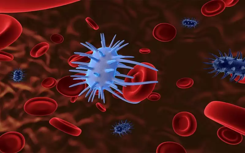 الإلتهابات البكتيرية والعدوى الفيروسية.. ما الفرق؟