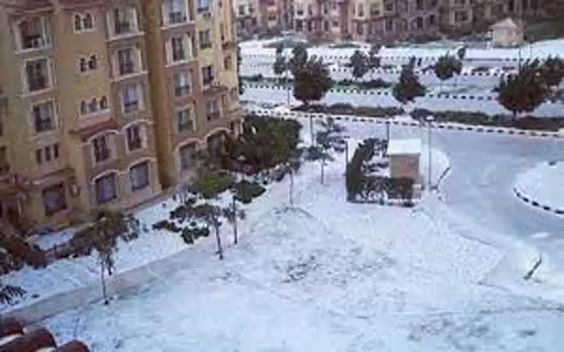 مصر تسجل أول حالة وفاة بسبب