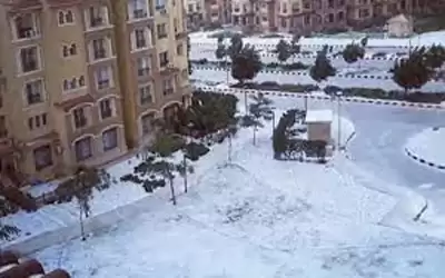 مصر تسجل أول حالة وفاة بسبب
