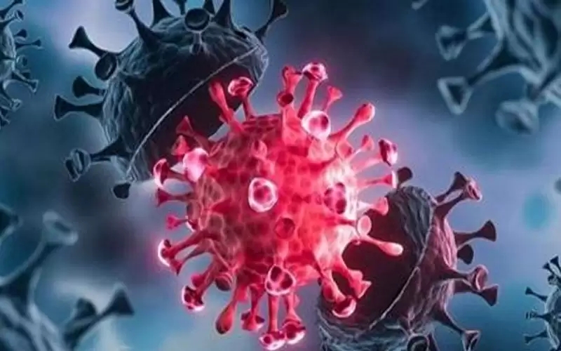 المغرب تلغي احتفالات رأس السنة