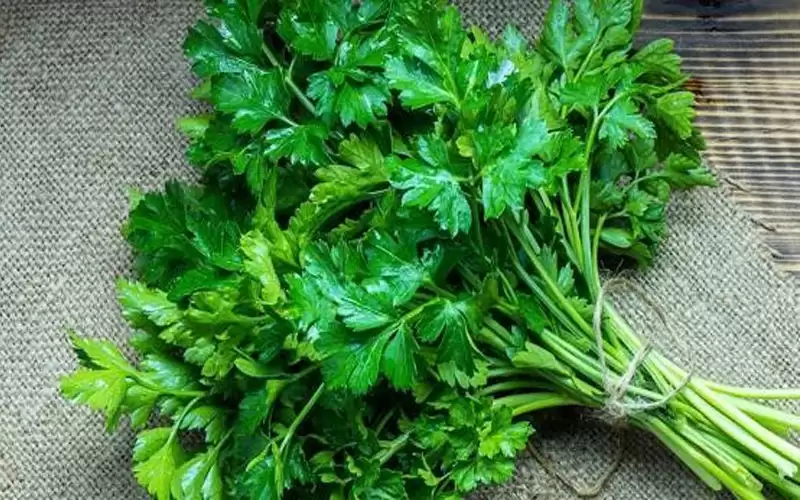 أعشاب غنية بالفيتامينات.. تعرفي عليها