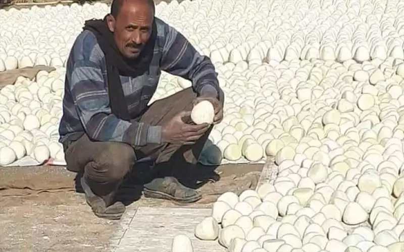 الغذاء: لا نستورد الجميد من مصنع