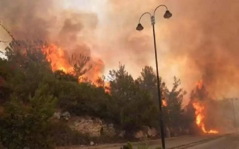 لبنان .. الحرائق تتسبب بآثار مدمرة