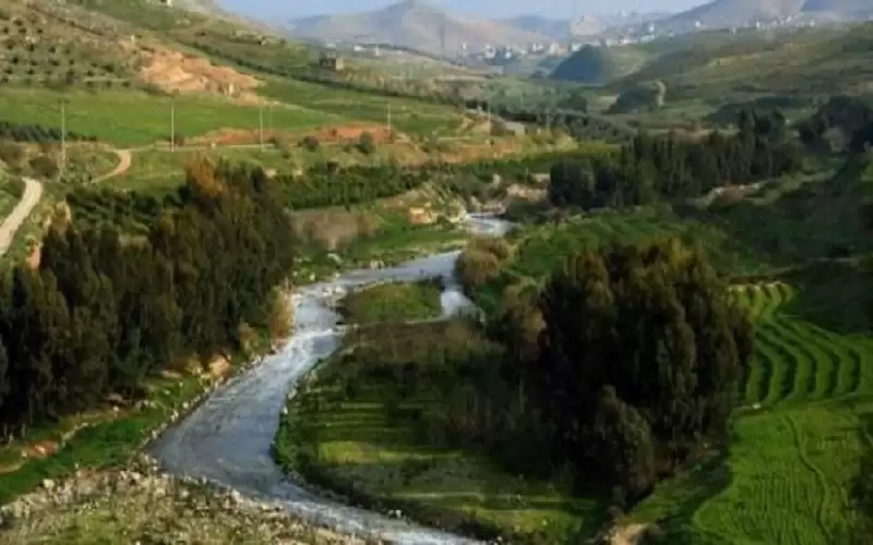 الحنيفات: لا زراعات مخالفة على كتف