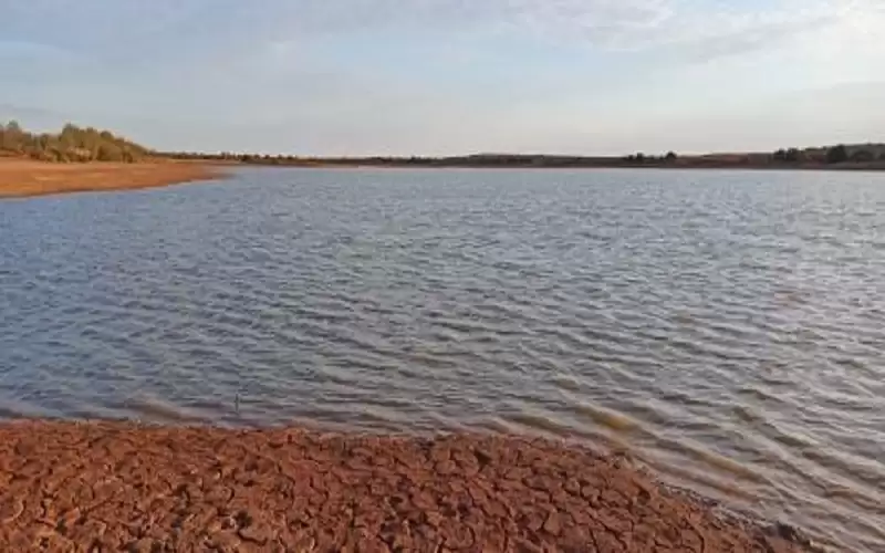 الزراعة: 30 - 90% نسبة تخزين