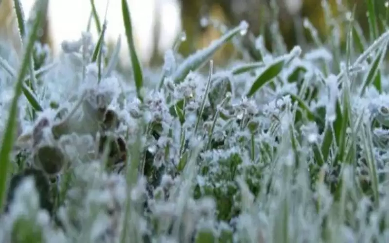 السبت .. أجواء باردة وتحذير من