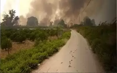 الأردن يفاوض إسرائيل على تعويضات الحرائق