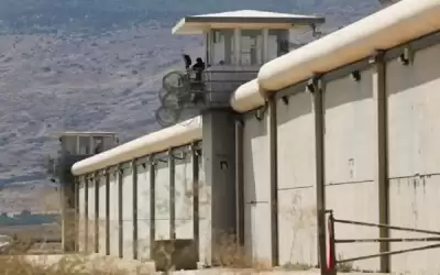 الاحتلال اعتقل 8 آلاف فلسطيني في