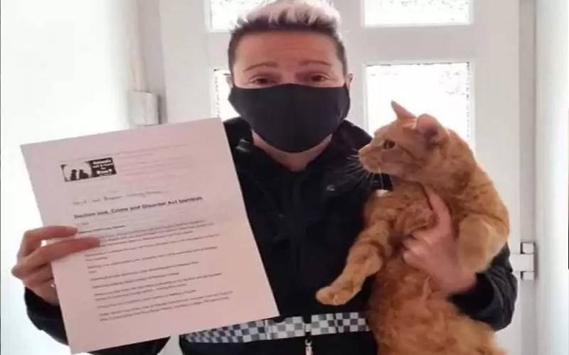 مسجل خطر .. قط مطلوب للشرطة