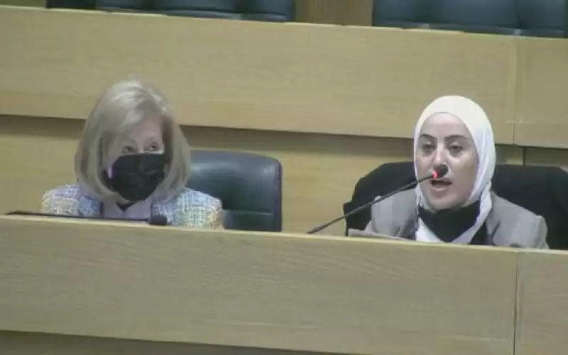 الصفدي للوزيرة بني مصطفى: وانت نائب