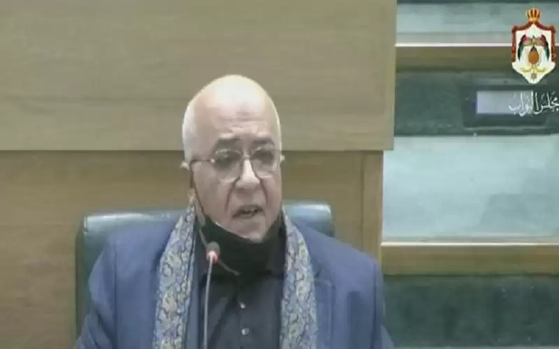 المعايطة: الأولى بالحكومة أن تعارض نقل