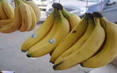 الزراعة تفتح باب طلبات استيراد الموز