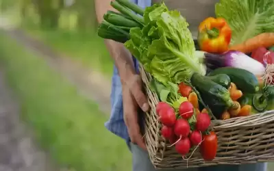 فاو: أسعار الغذاء سجلت أعلى مستوياتها