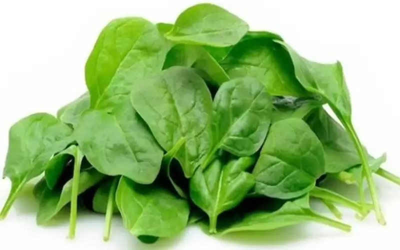 لهذا السبب.. تناول هذه الخضروات الورقية
