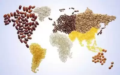 أسعار الأغذية سجلت بـ2021 أعلى مستوى