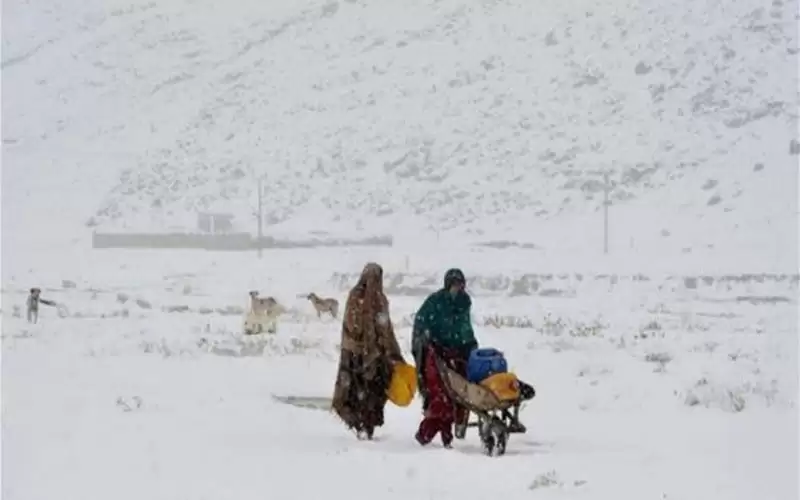 خلال عاصفة ثلجية .. مصرع 16