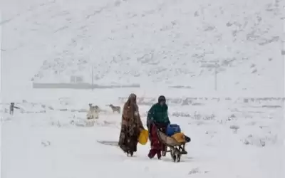 خلال عاصفة ثلجية .. مصرع 16