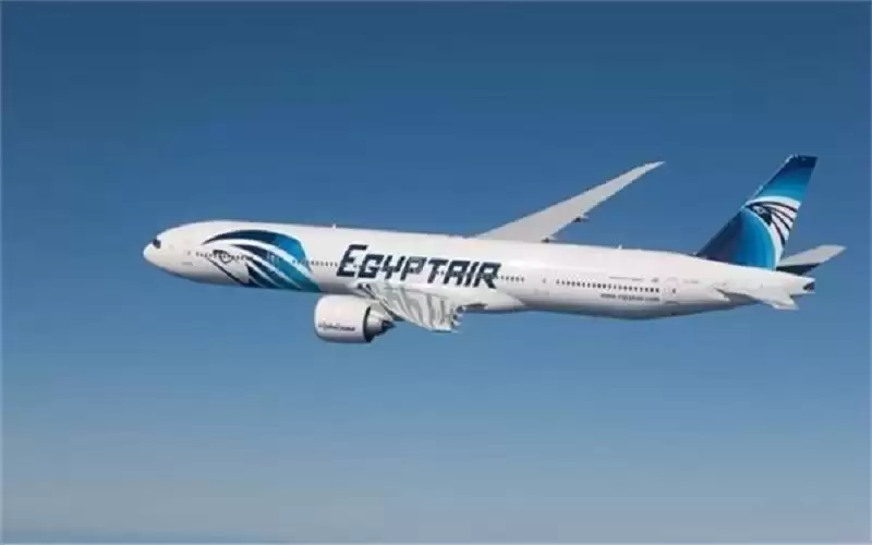 الأحوال الجوية تؤدي لتعرض طائرة مصرية