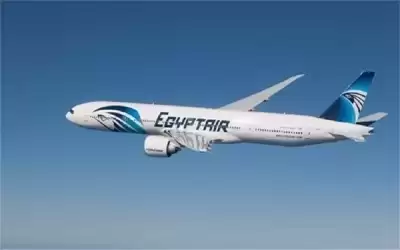 الأحوال الجوية تؤدي لتعرض طائرة مصرية