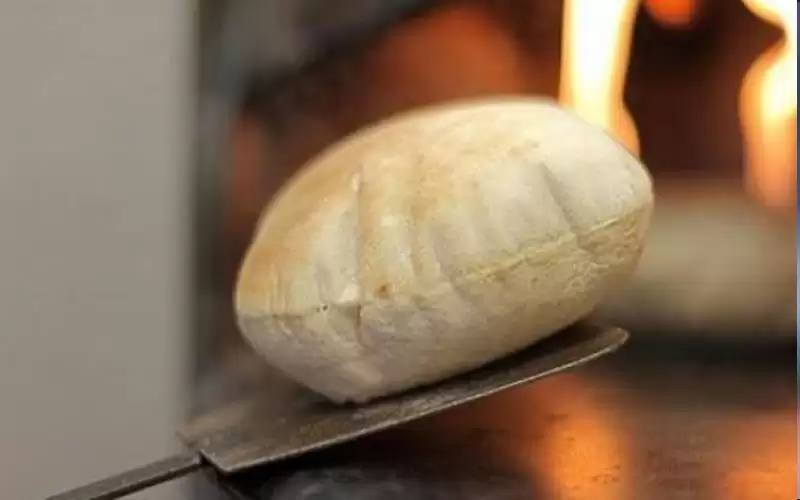 الشمالي يؤكد ضرورة ادامة عمل المخابز