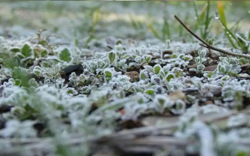 الأرصاد تحذر من تشكل الانجماد مساء