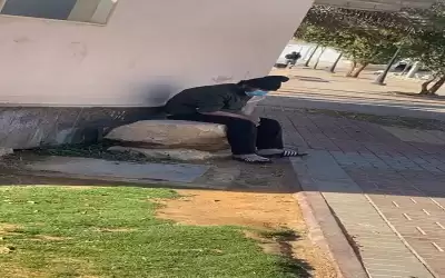 عراء السعودية أهون من العودة إلى
