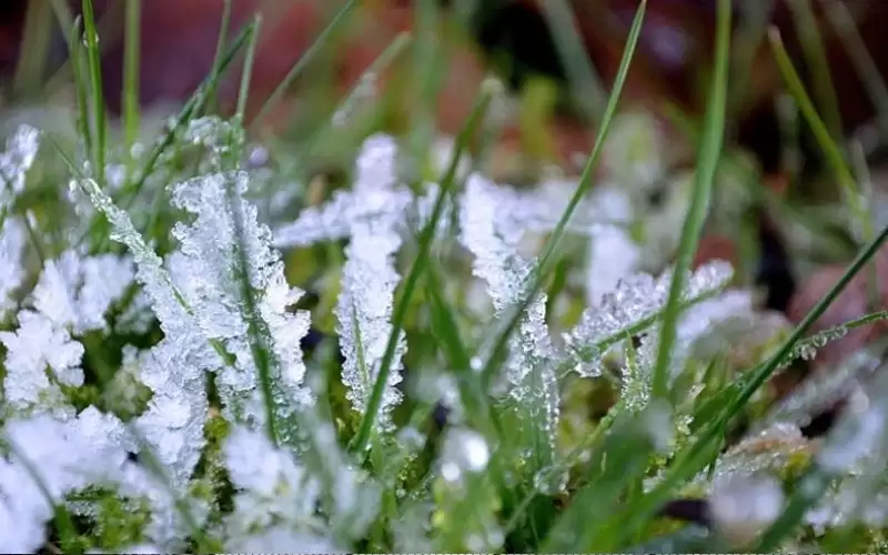 أجواء شديدة البرودة وتحذير من تشكل