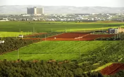 النهضة الزراعية.. طوق نجاة بأبعاد سياسية