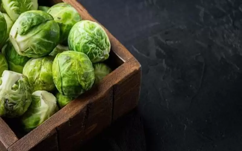 هل يخفف الملفوف التورم ويوقف الرضاعة