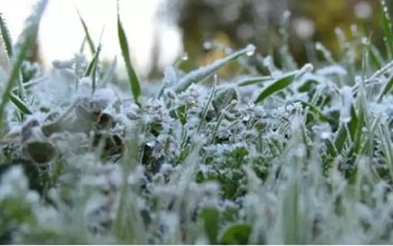 تجار الخضار والفواكه: الارتفاع الحاصل على