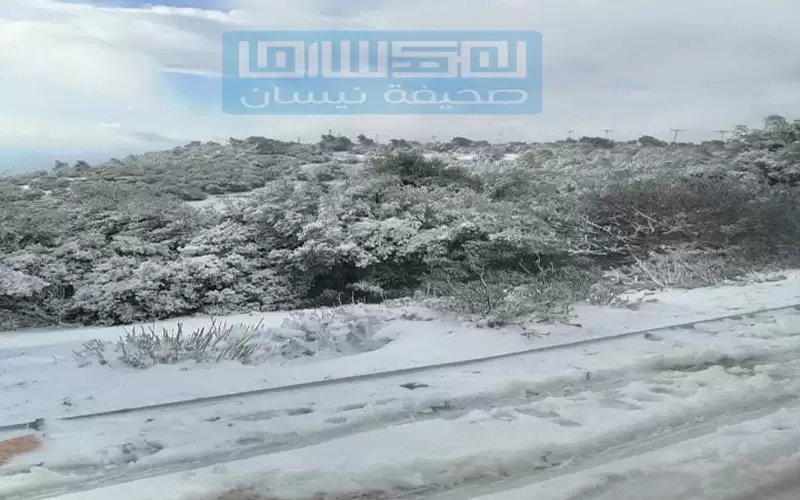 الشاكر: التراكمات الثلجية قد تتجاوز 20