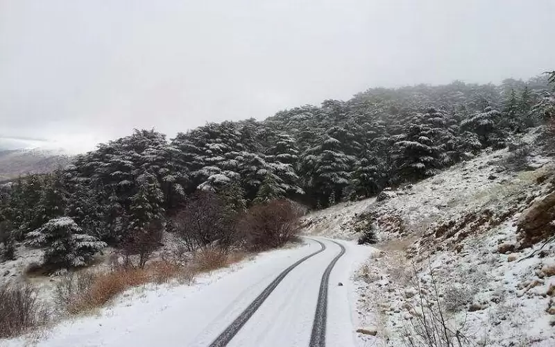 عاصفة ثلجية تضرب لبنان
