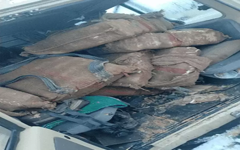 الجيش يحبط محاولات تسلل وتهريب ومقتل