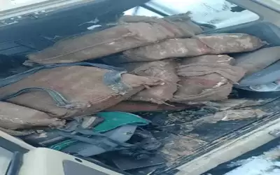 الجيش يحبط محاولات تسلل وتهريب ومقتل