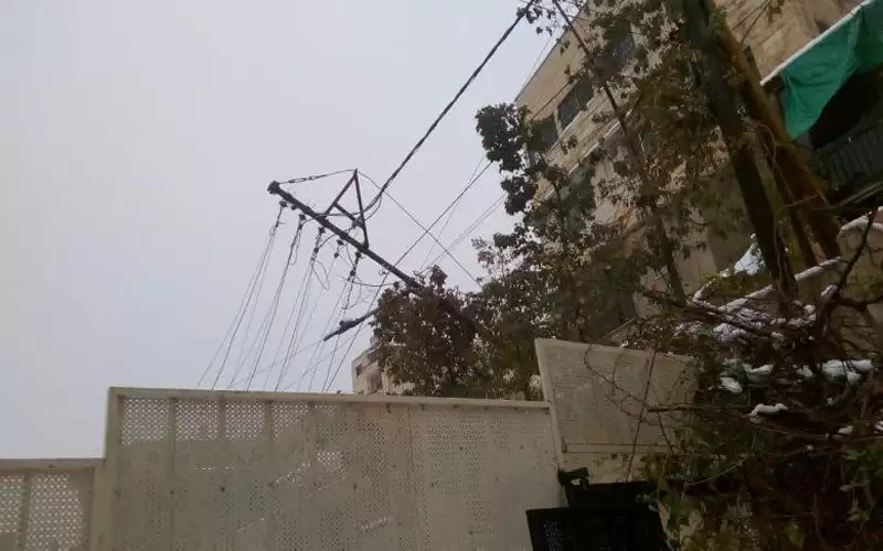 الشوبكي : فشل ذريع لشركات توزيع