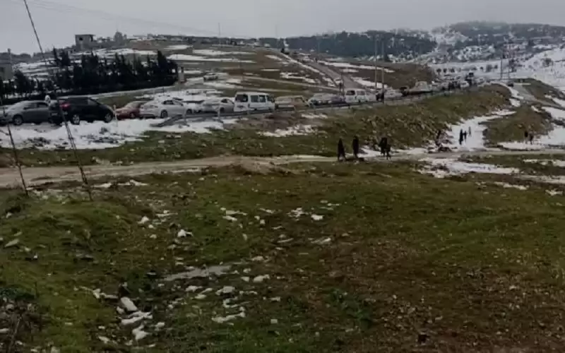 عشرات المركبات تؤدي إلى توقف الحركة