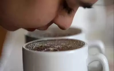 7 أسباب تدفعك لشرب القهوة يوميا
