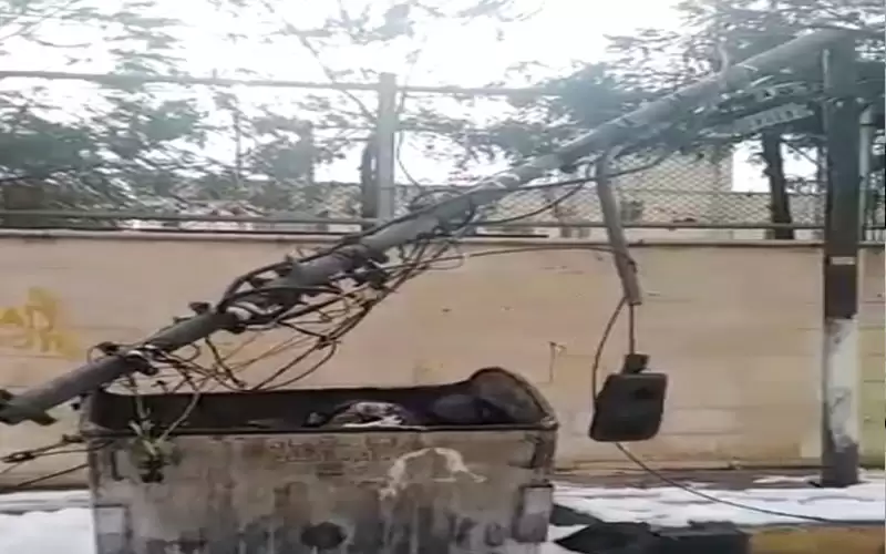 الكهرباء تلوم أشجار الزراعة .. اجى