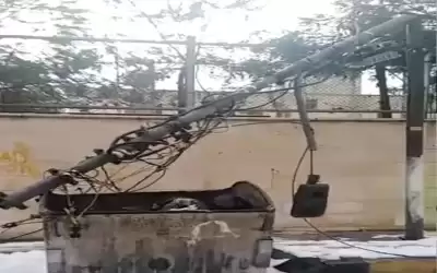 الكهرباء تلوم أشجار الزراعة .. اجى