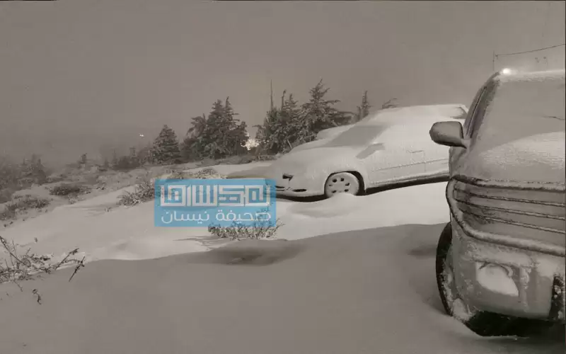 التأمين الإلزامي يغطي أضرار حوادث المنخفض