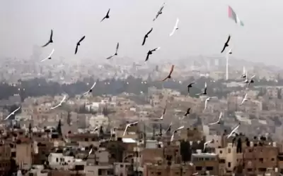 أجواء باردة في معظم المناطق