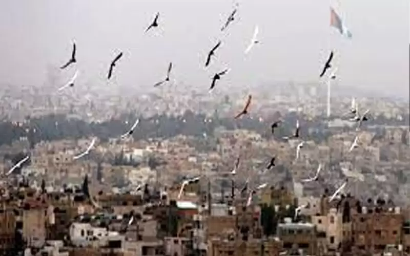 اجواء مشمسة في معظم المناطق وباردة